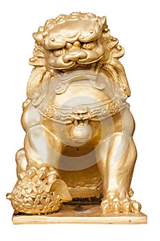 Isolate of Chinese Lion Statue.