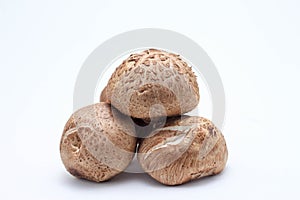 Isolate close up Shitake mushroom on white background.