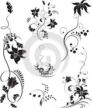 Isolate design elements. Vector illustration