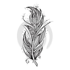 Isolate feather icon vector illustration