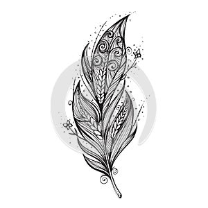 Isolate feather icon vector illustration