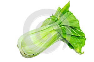 Isolate Lettuce isolated