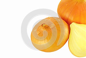 Isolate onions on a white background