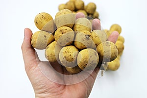Longkong langsart fruit in Asian science name Lansium domesticum. photo