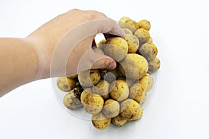 Longkong langsart fruit in Asian science name Lansium domesticum. photo