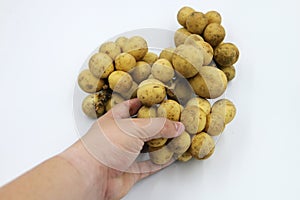 Longkong langsart fruit in Asian science name Lansium domesticum. photo