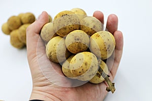 Longkong langsart fruit in Asian science name Lansium domesticum. photo