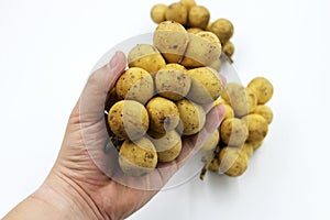 Longkong langsart fruit in Asian science name Lansium domesticum. photo