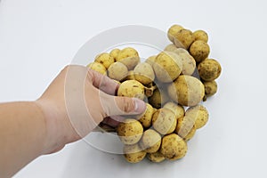 Longkong langsart fruit in Asian science name Lansium domesticum. photo
