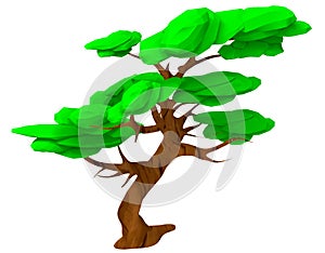 Isolated 3d render illustration of isometric lowpoly game acacia tree