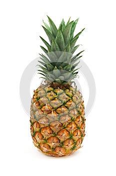 Isolated ananas