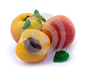 Isolated apricot. Fresh cut apricot fruits isolated