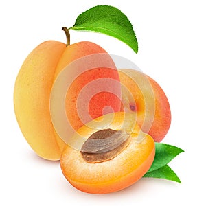 Isolated apricot. Fresh cut apricot fruits isolated on white background, with clipping path