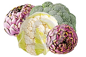 Isolated artichokes, cauliflower and broccoli