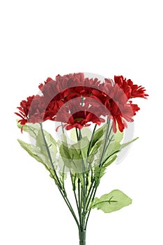 isolated artificial large red flowers