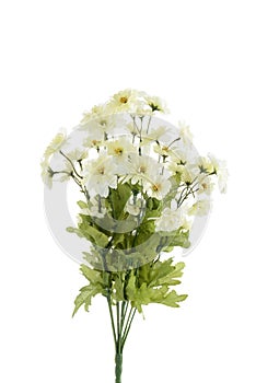 isolated artificial small white flowers