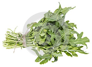 Isolated Arugula photo