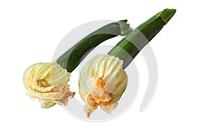 Isolated Baby Courgette or Zucchini Squash with Flowers