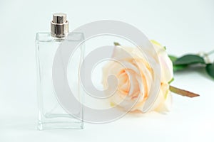 isolated background empty perfume bottle and beautiful rose place on table with copy space. image for flower, beauty, cosmetic, p