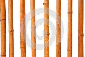 Isolated Bamboo sticks