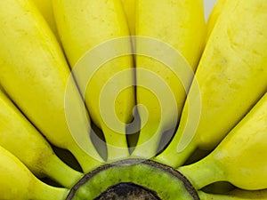 Isolated banana on the white background