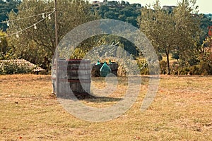 An isolated barrel in a meadow in the Tuscan countryside Tuscany, Italy