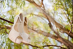 Isolated pink wedding shoe on tree branch