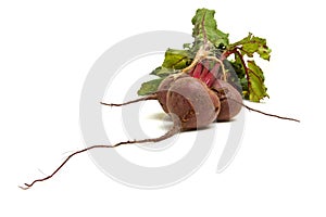 Isolated Beetroot