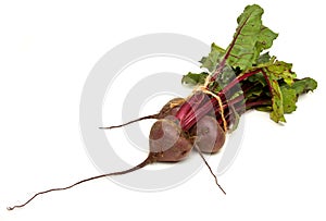 Isolated Beetroot