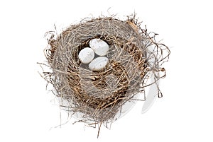 Isolated Bird Nest and Eggs