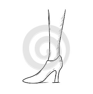 Isolated black elgant woman leg in shoes with high heels