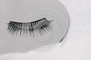 Isolated black and long artificial eyelashes using for lash extension procedure lying on round mirror on white table.