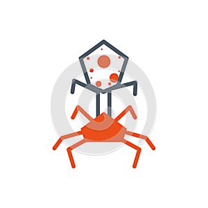 Isolated black and orange virus bug vector design