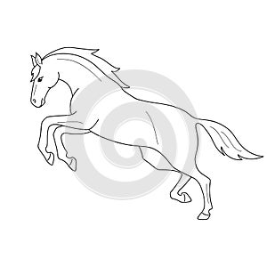 Isolated black outline galloping, jumping horse on white background. Side view. Curve lines. Page of coloring book.