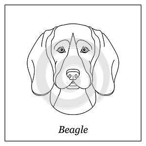 Isolated black outline head of beagle on white background. Line cartoon breed dog portrait.