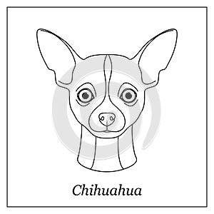 Isolated black outline head of chihuahua on white background. Line cartoon breed dog portrait.