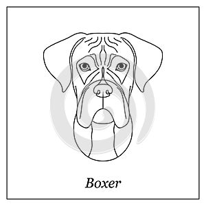 Isolated black outline head of german boxer on white background. Line cartoon breed dog portrait.