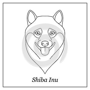 Isolated black outline head, portrait of shiba inu on white background. Happy dog. Curve lines. Page of coloring book