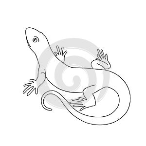 Isolated black outline monochrome lizard on white background. Curve lines. Page of coloring book.