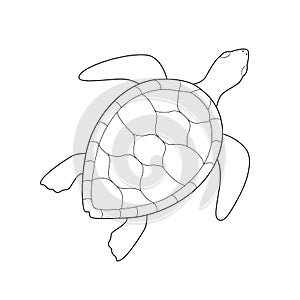 Isolated black outline monochrome sea green turtle on white background. Curve lines. Page of coloring book