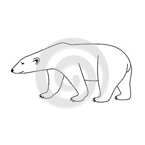 Isolated black outline polar bear on white background. Curve lines. Page of coloring book.