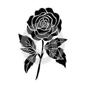 Isolated black rose, flower tattoo illustration, silhouette
