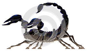 Isolated black scorpion.