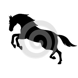 Isolated black silhouette of galloping, jumping horse on white background. Side view.