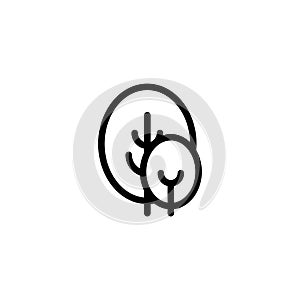 Isolated black and white color trees illustrations. Lineart style vector forest icon and logo set. Park and garden flat