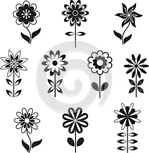 Isolated Black and White Flower Illustrations