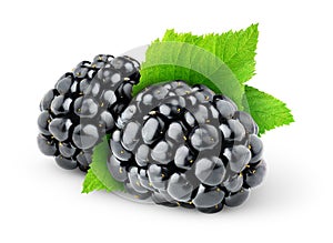 Isolated blackberries