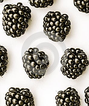 Isolated blackberries collection