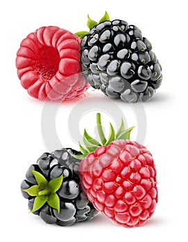 Isolated blackberry and raspberry