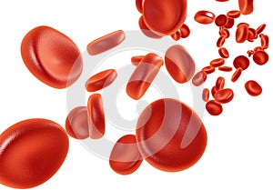 Isolated blood cells